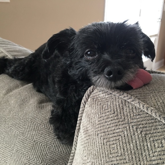 โฅ๏ธ๐๐ป๐ถMeet your Posher, Kim๐๐๏ธ๐๐  - Picture 4 of 12